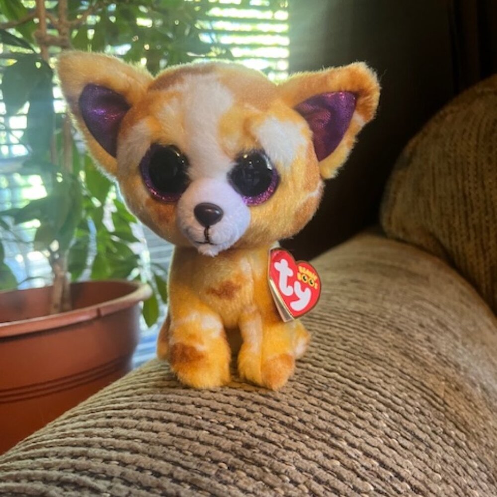 TY Beanie Boos Pablo the Chihuahua